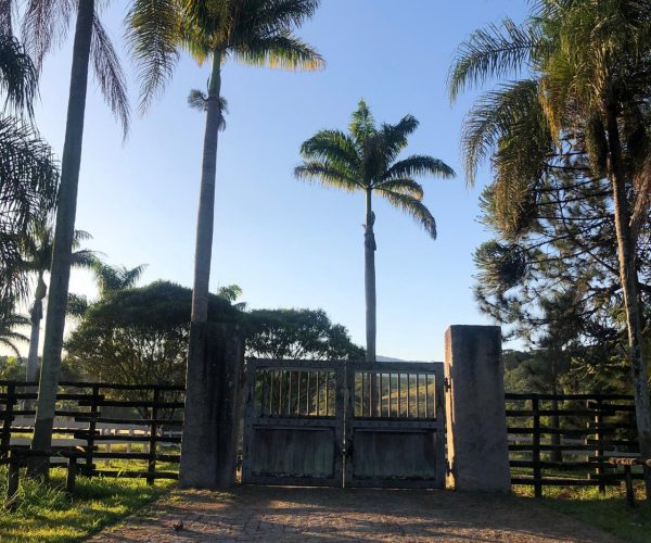 WhatsApp Image 2025-09-23 at 21.59.23 (1)