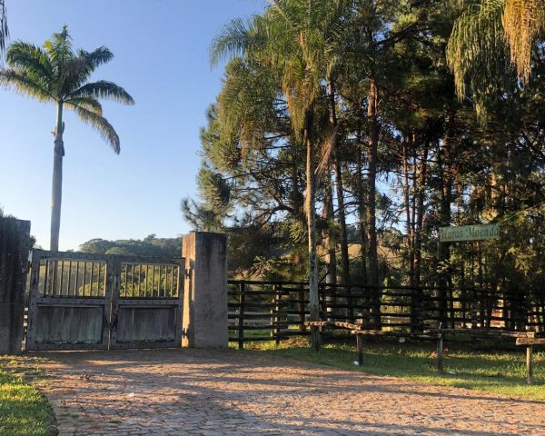 WhatsApp Image 2025-09-23 at 21.59.23