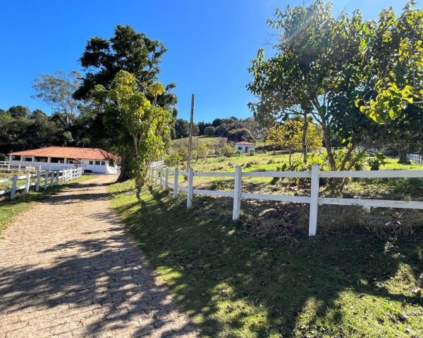 WhatsApp Image 2025-09-23 at 21.59.24