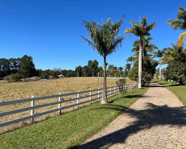 WhatsApp Image 2025-09-23 at 21.59.28 (1)