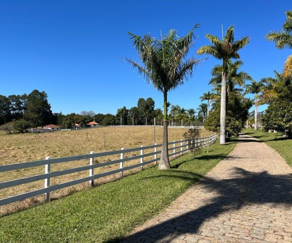 WhatsApp Image 2025-09-23 at 21.59.28 (1)