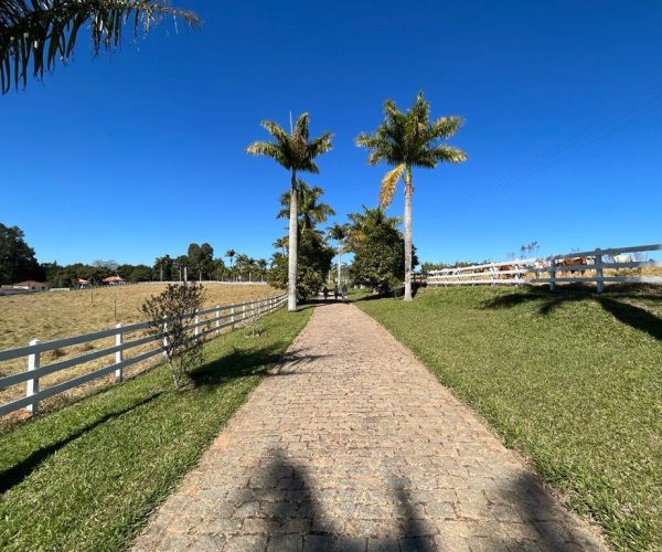 WhatsApp Image 2025-09-23 at 21.59.28 (2)