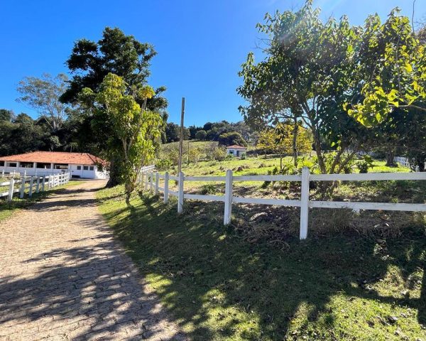 WhatsApp Image 2025-09-23 at 21.59.29 (1)