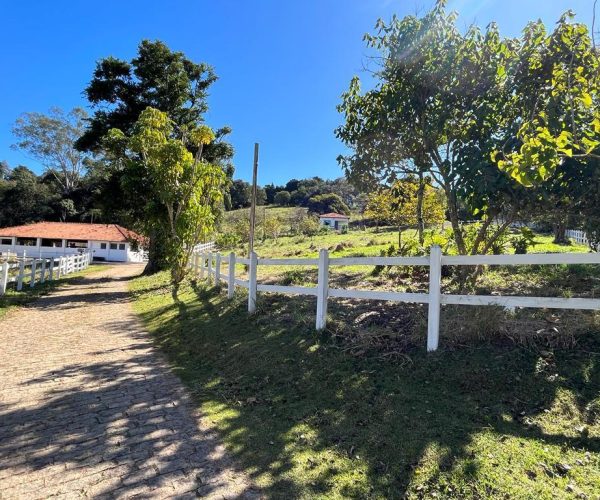 WhatsApp Image 2025-09-23 at 21.59.29 (1)