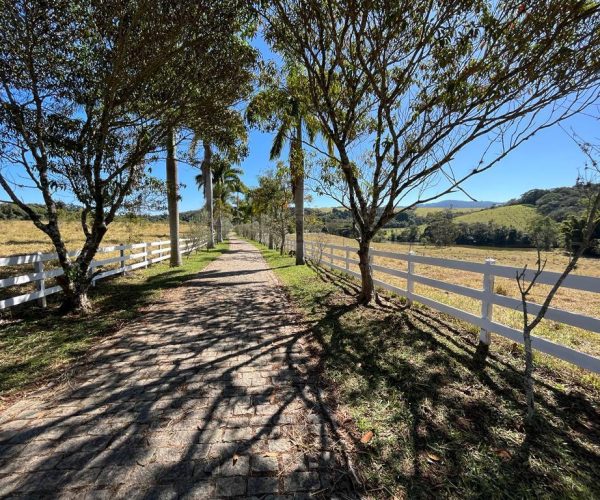 WhatsApp Image 2025-09-23 at 21.59.29