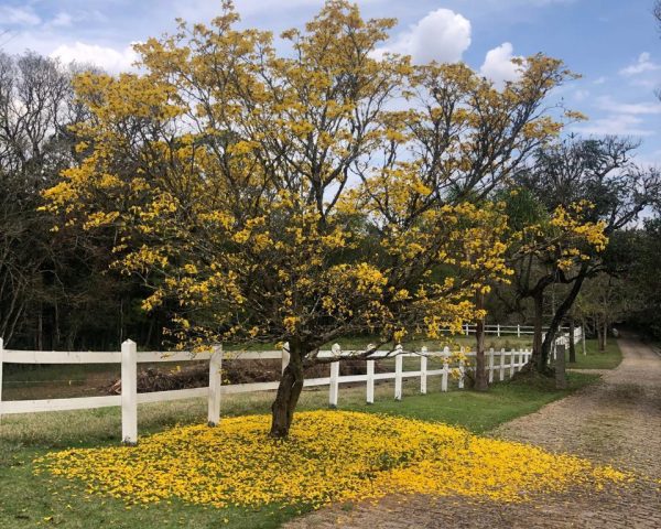 WhatsApp Image 2025-09-23 at 21.59.31