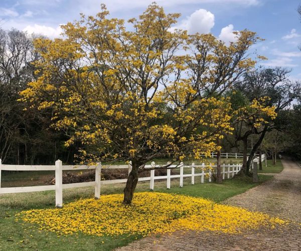 WhatsApp Image 2025-09-23 at 21.59.31