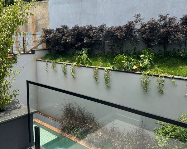 WhatsApp Image 2025-12-08 at 20.11.23