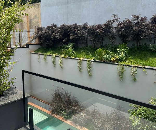 WhatsApp Image 2025-12-08 at 20.11.23